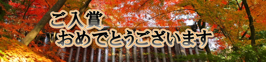 入賞おめでとう